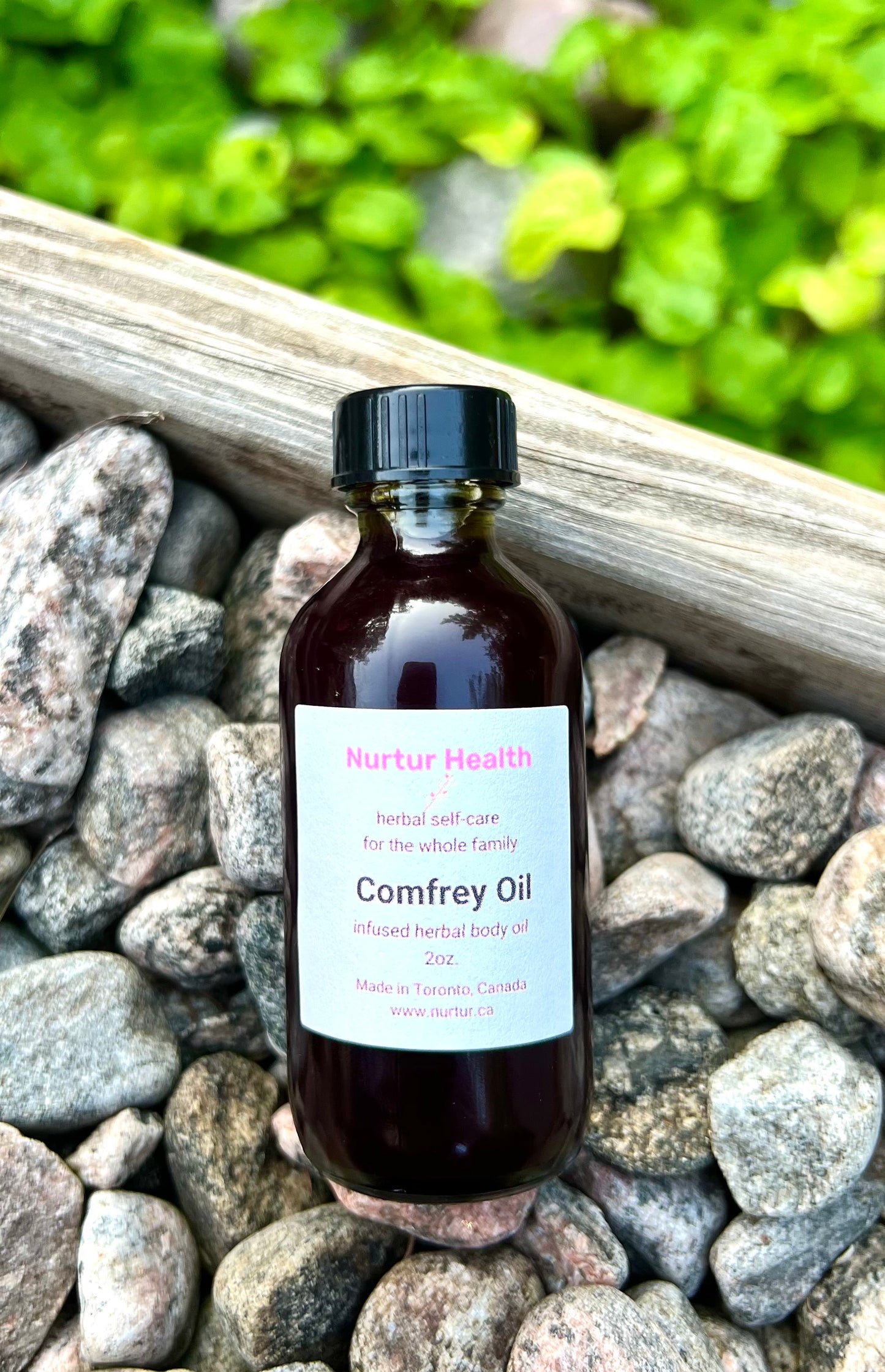 Comfrey Herbal Oil (Symphytum officinale leaf oil)
