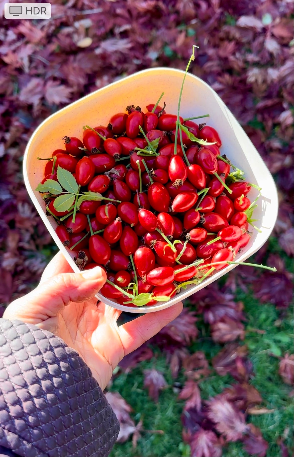 Rosehip&Hibiscus Fire Cider