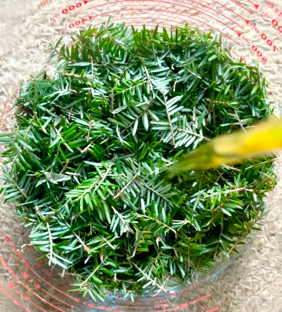 Evergreen Lip Balm