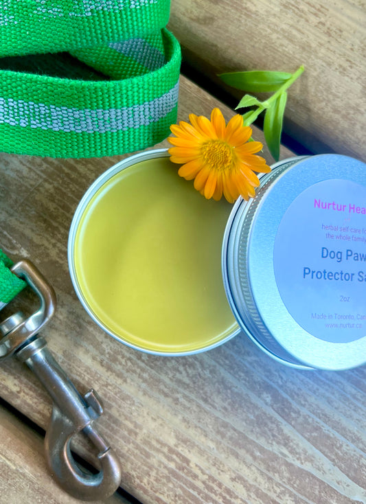 Dog Paw Protector Salve