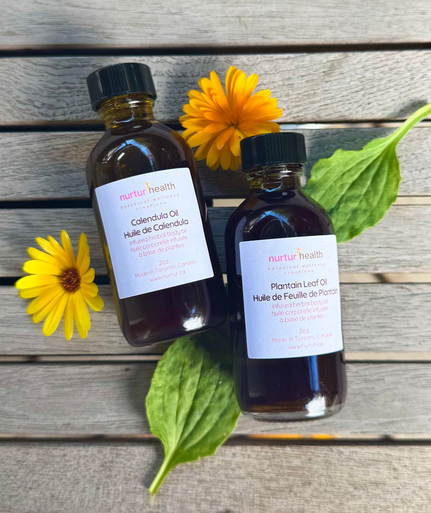 Herbal Salve Making Kit