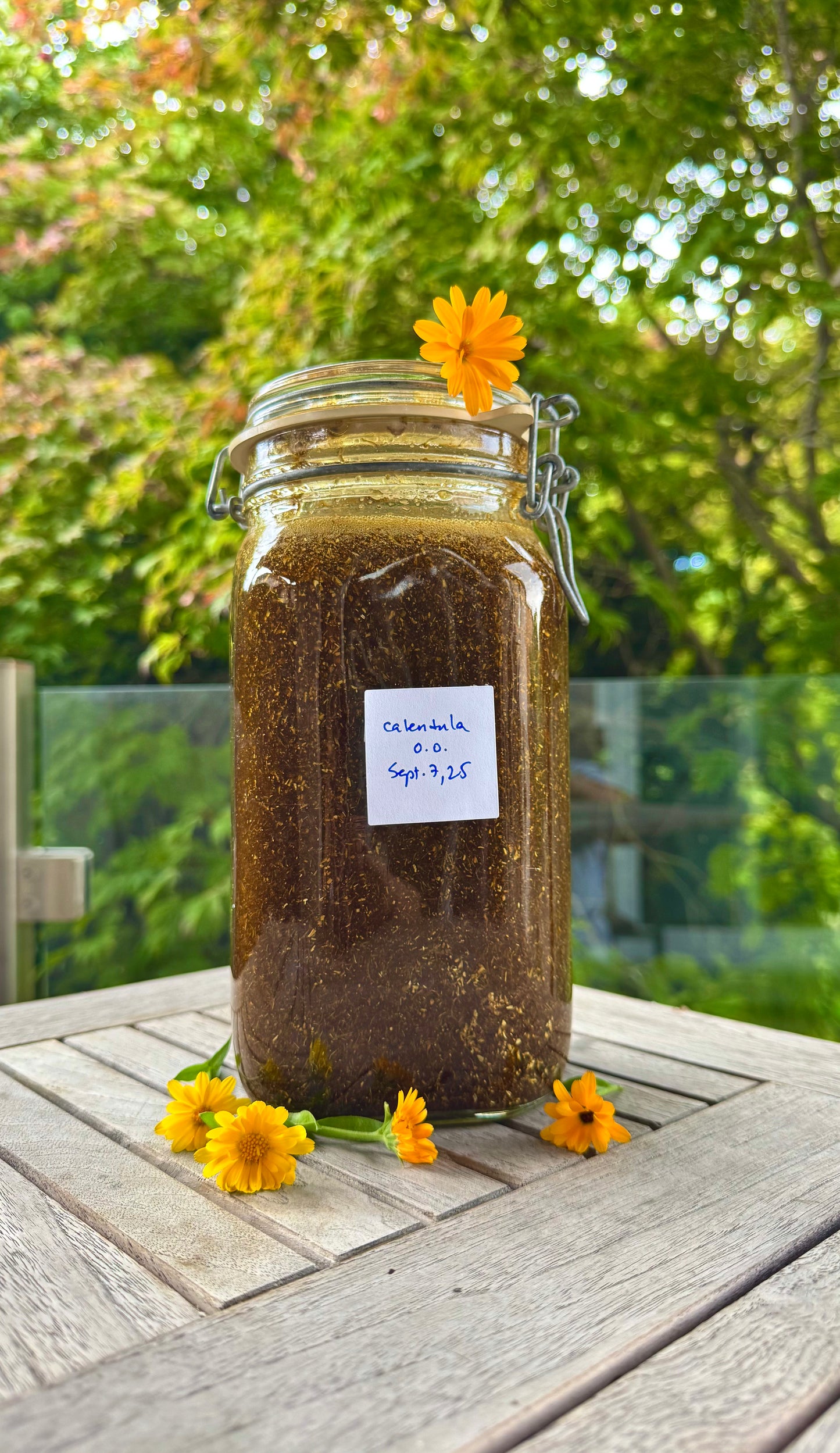 Calendula Herbal Oil