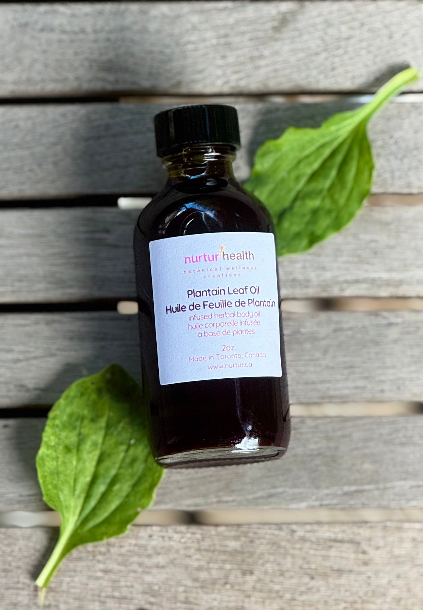 Plantain Leaf Herbal Oil