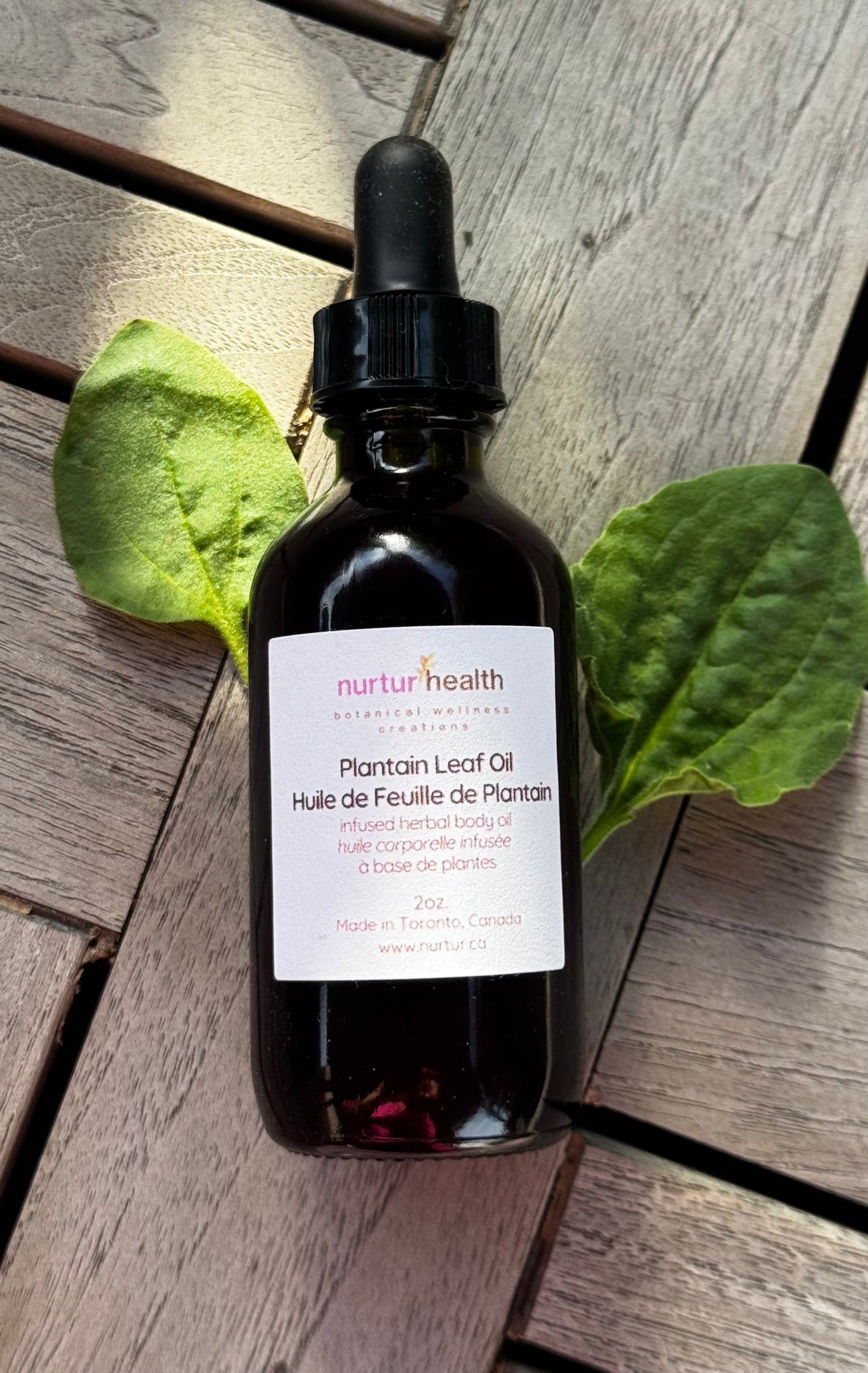 Plantain Leaf Herbal Oil