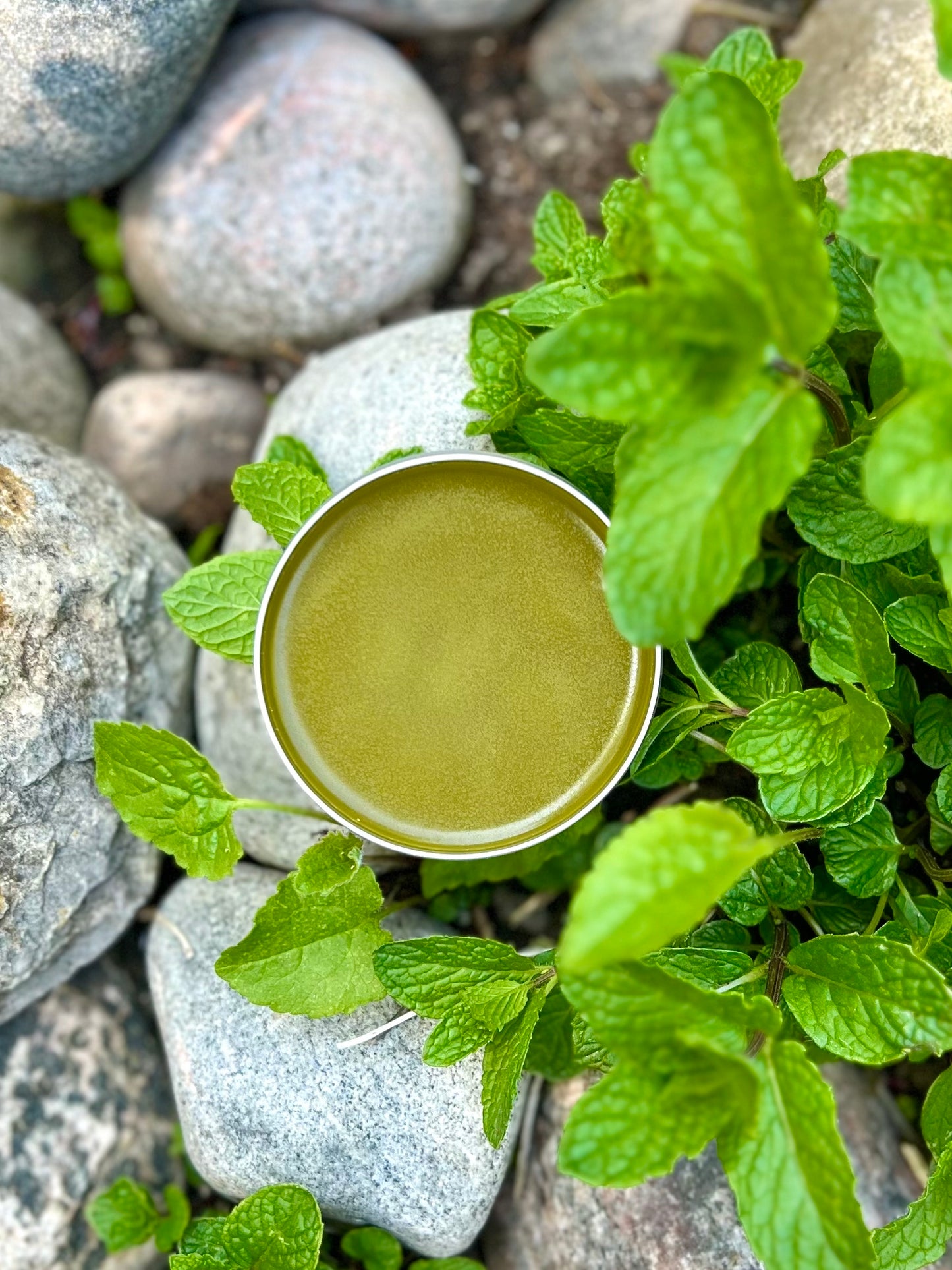 Skin Repair Comfrey Salve