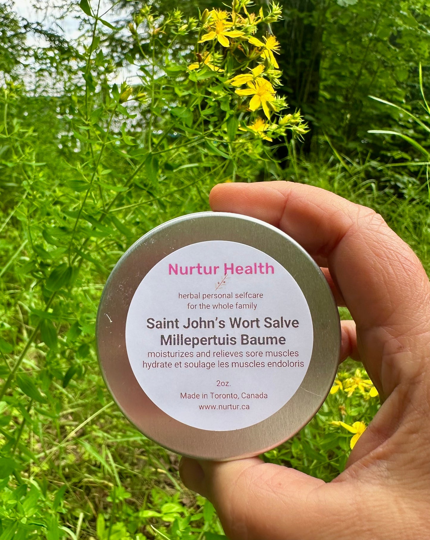 St. John's Wort Salve