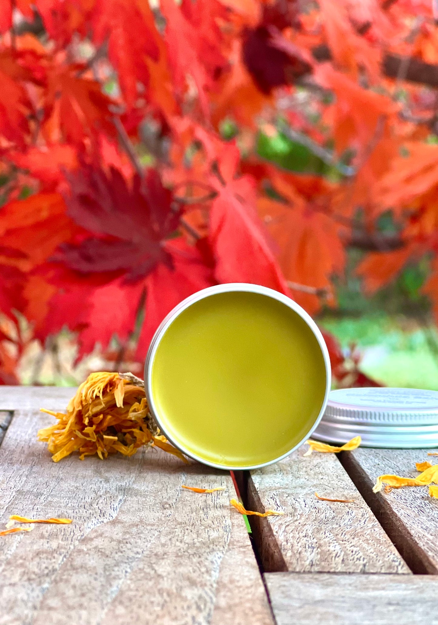 Calendula Salve