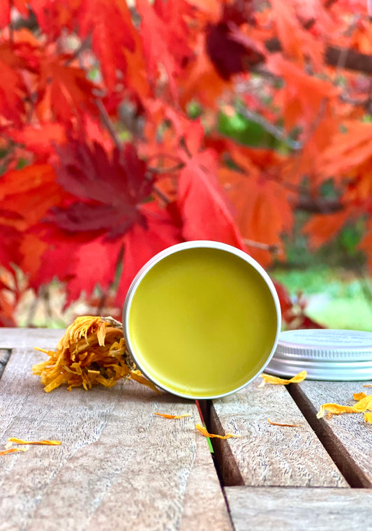 Calendula Salve