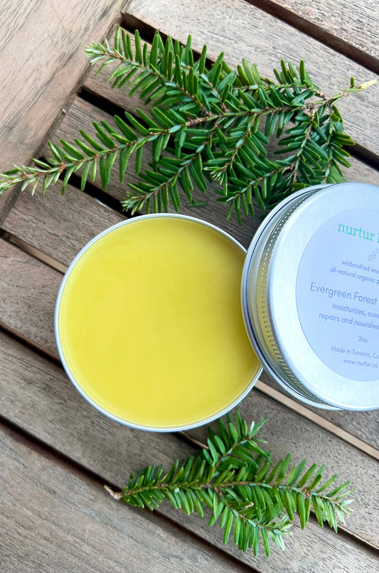 Evergreen Forest Beard Balm